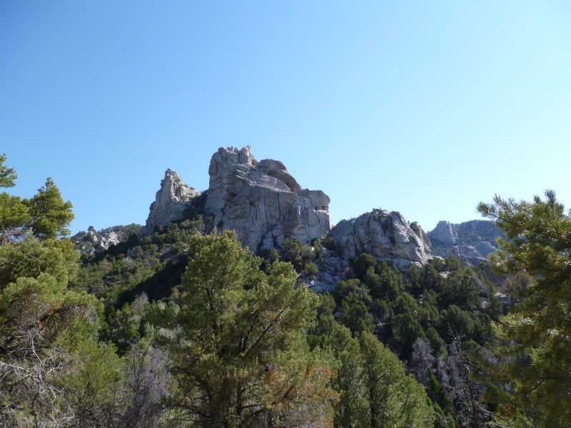 P1010460.jpg