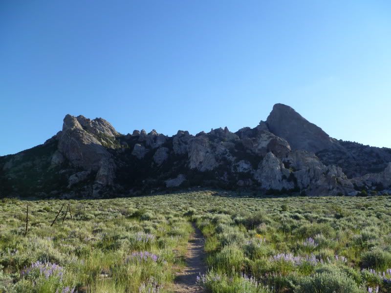 P1010643.jpg