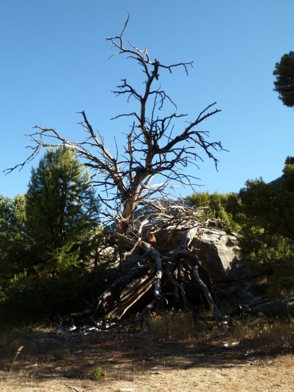P1010664.jpg