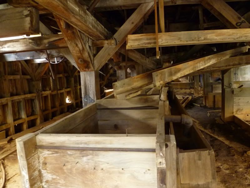 P1020469.jpg