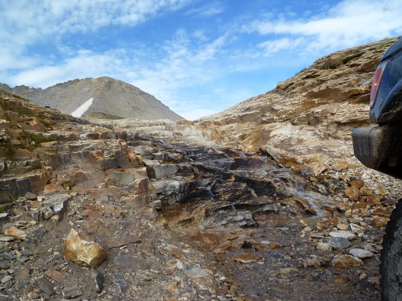 P1020591.jpg