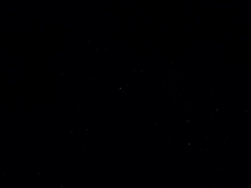 P1020964.jpg