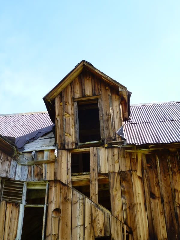 P1030006.jpg