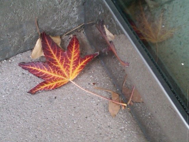 Uploaded by Photobucket Mobile for BlackBerry