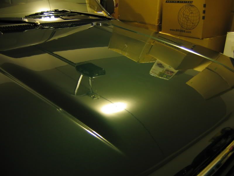 IMG_0689.jpg