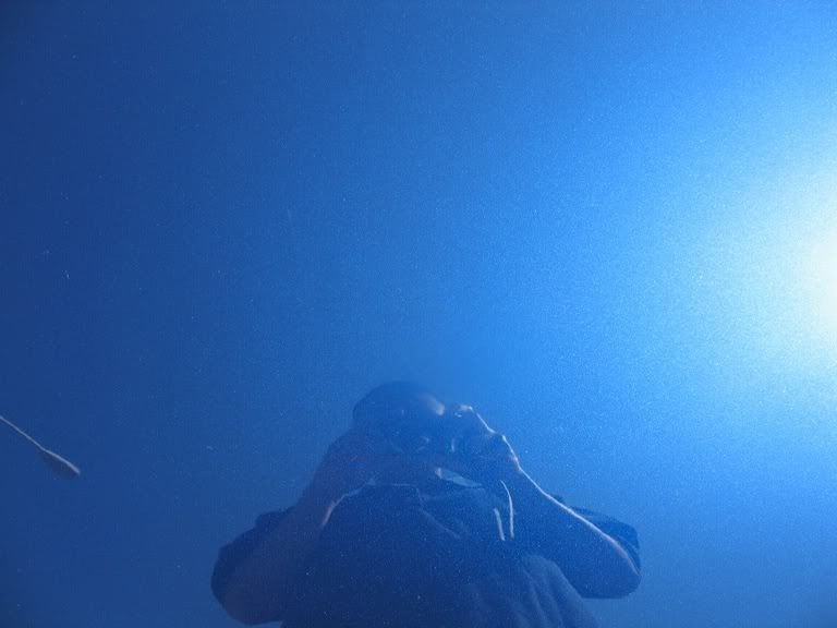 wax005.jpg