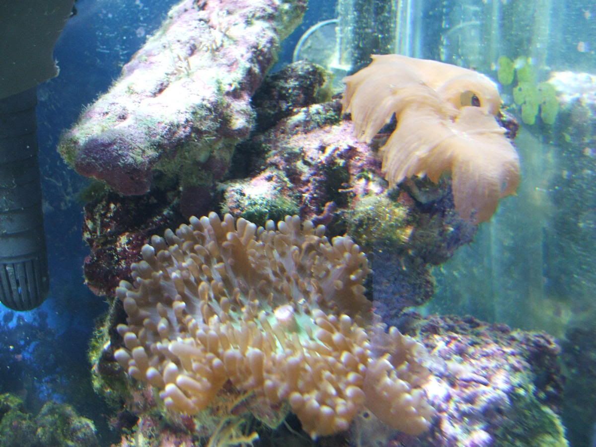 DSCF0530.jpg