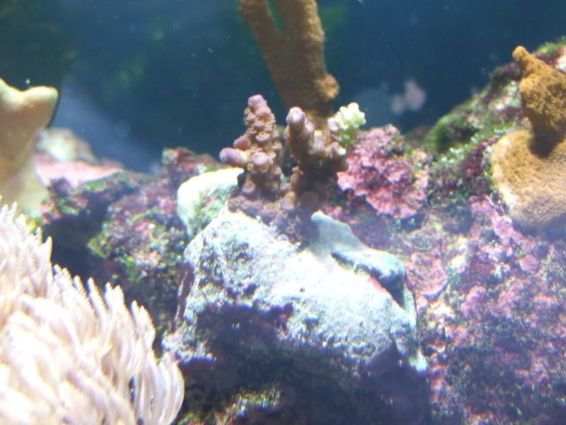 DSCF0747.jpg