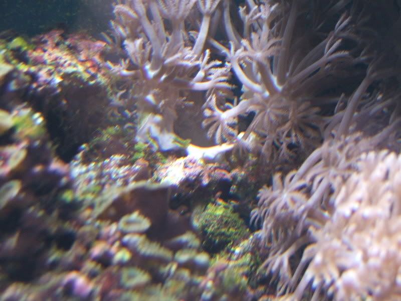 DSCF0752.jpg