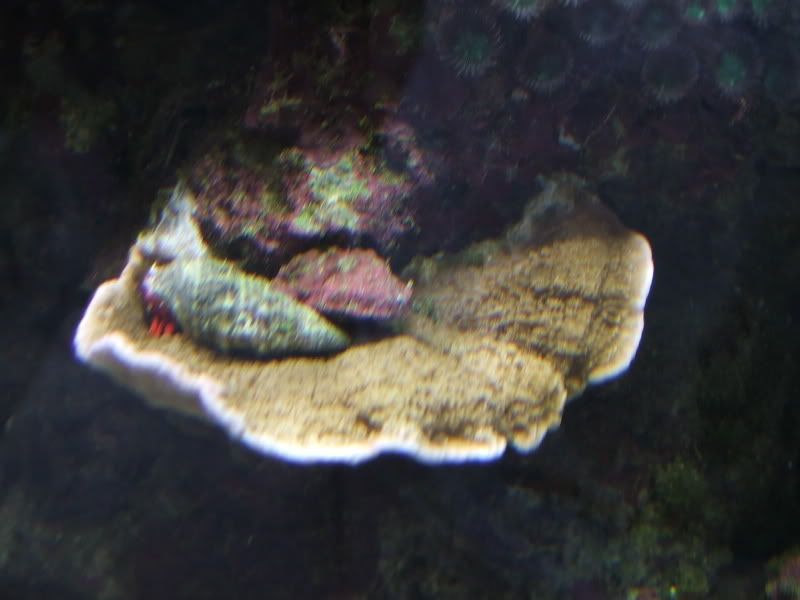 DSCF0754.jpg