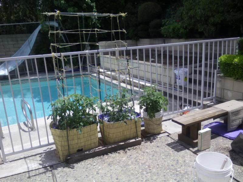  photo IMG_20140506_123146_zps267b454c.jpg