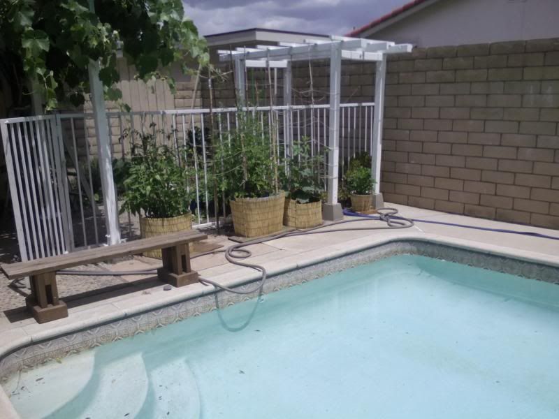  photo IMG_20140506_123203_zpsd2f87604.jpg