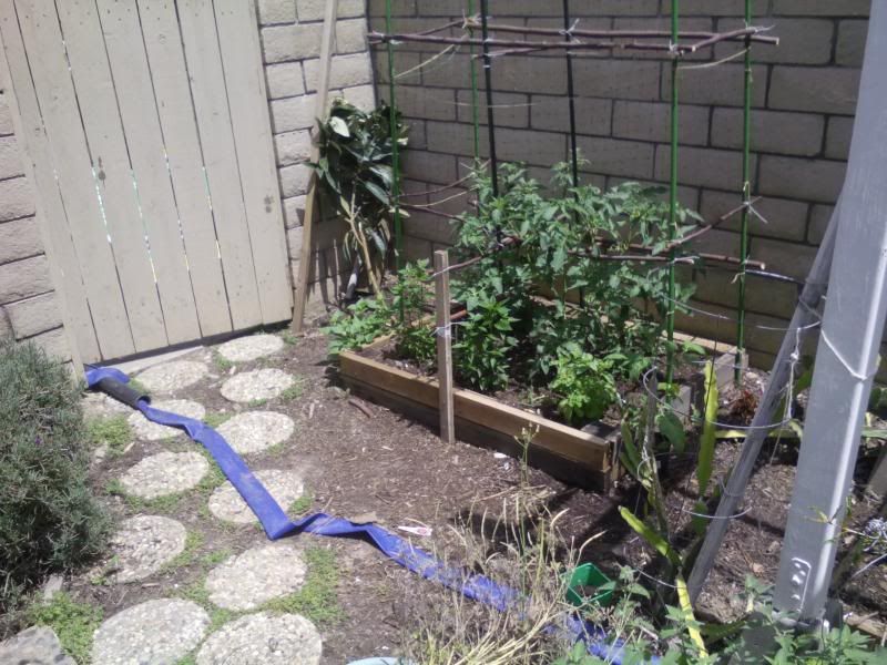  photo IMG_20140506_123225_zpsc15c6e8e.jpg