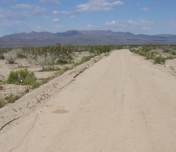 Image hosted by Photobucket.com