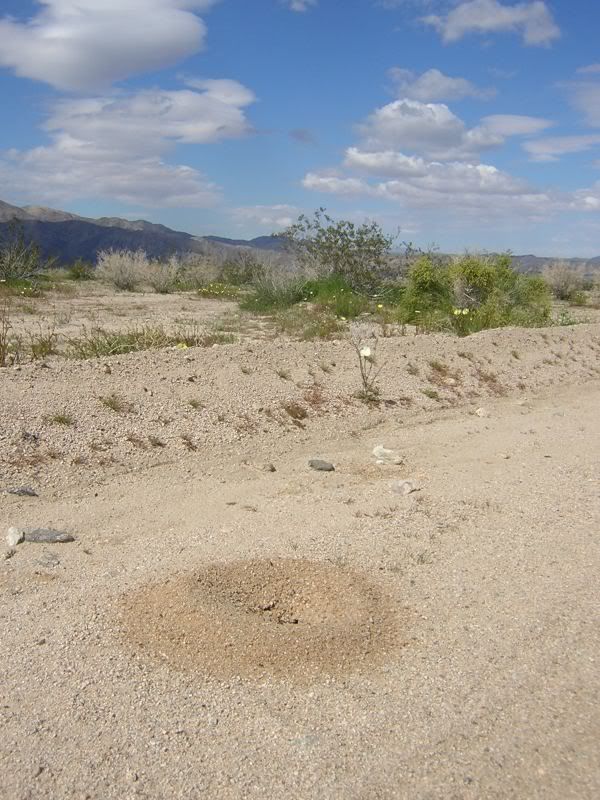 Image hosted by Photobucket.com