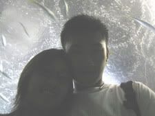 Image hosted by Photobucket.com