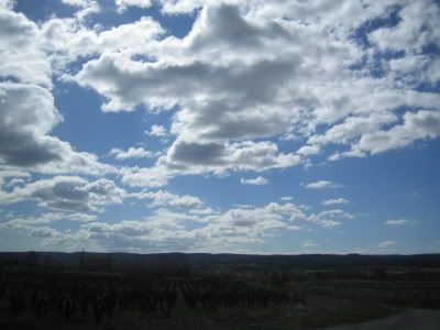 SkyScape Taken In the Car