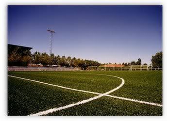 campo.jpg