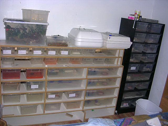 DSCN3422.jpg