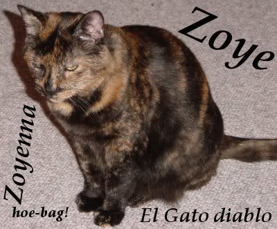 pic of my phat cat, included some of her nicknames =P