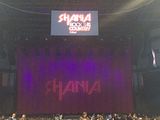 th_shania-rockthiscountrytour-allentown100215-17.jpg