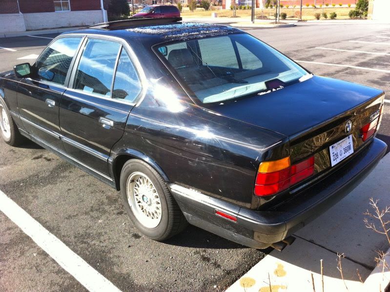 [Image: intro_rear.jpg]