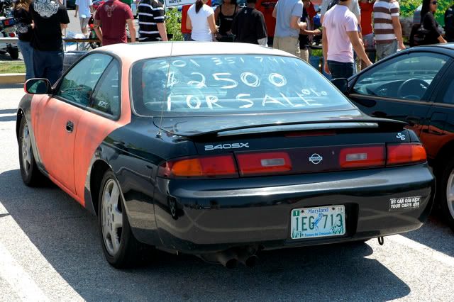 [Image: DSC_1986.jpg]