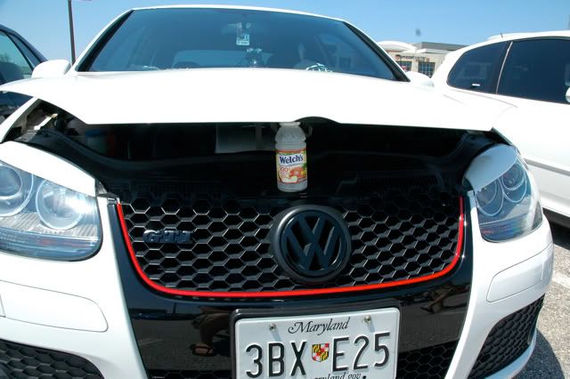 [Image: DSC_1988.jpg]