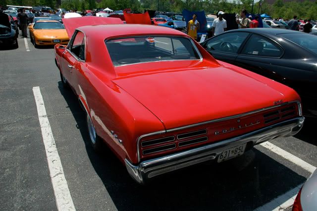 [Image: DSC_1996.jpg]