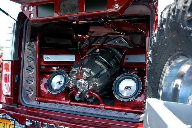 [Image: DSC_2001.jpg]