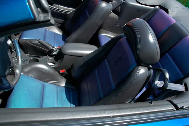 [Image: DSC_2004.jpg]