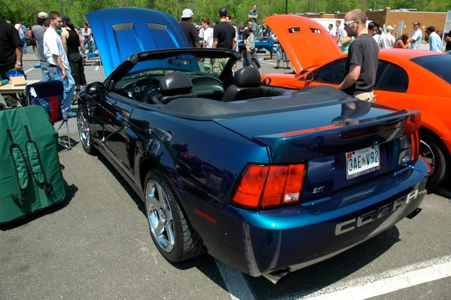 [Image: DSC_2005.jpg]