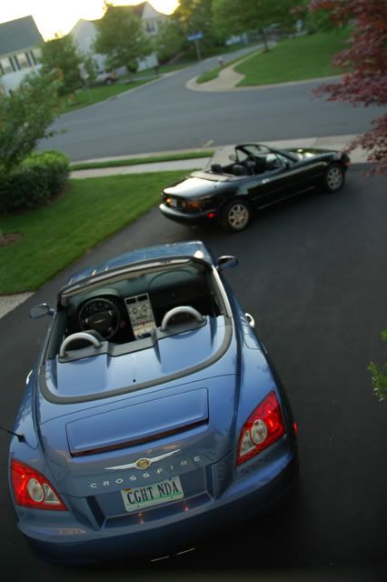 [Image: DSC_3917.jpg]