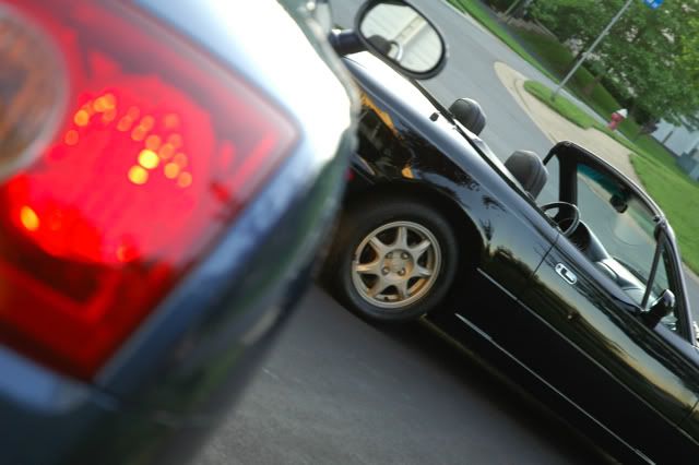 [Image: DSC_3919.jpg]