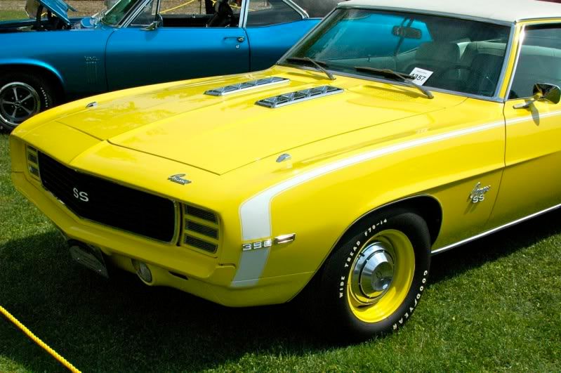 [Image: greenwich2010_22.jpg]