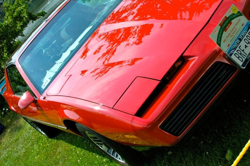 [Image: greenwich2010_27.jpg]