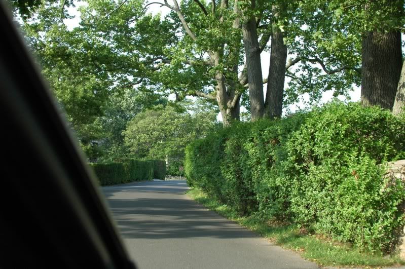 [Image: greenwich2010_35.jpg]