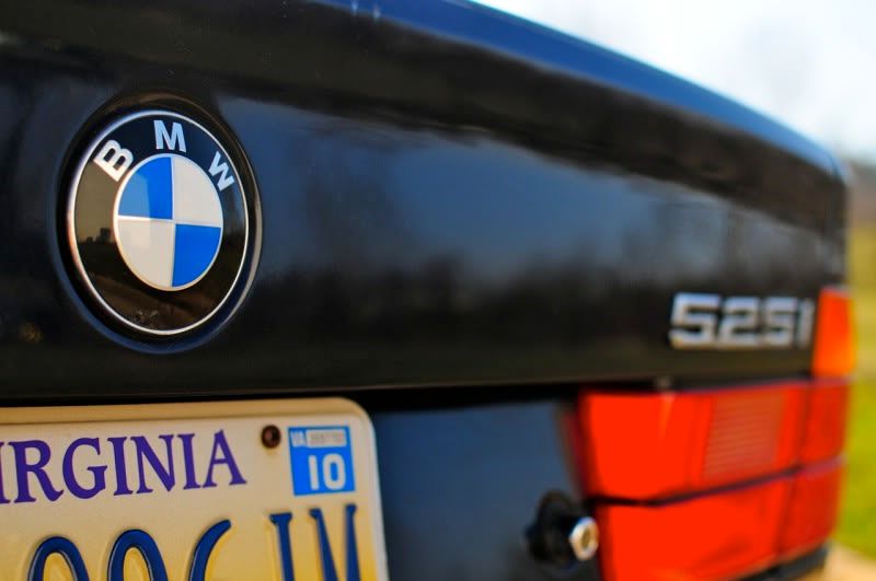 [Image: cleane34_6.jpg]