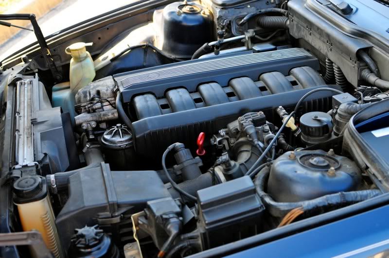 [Image: cleane34_9.jpg]