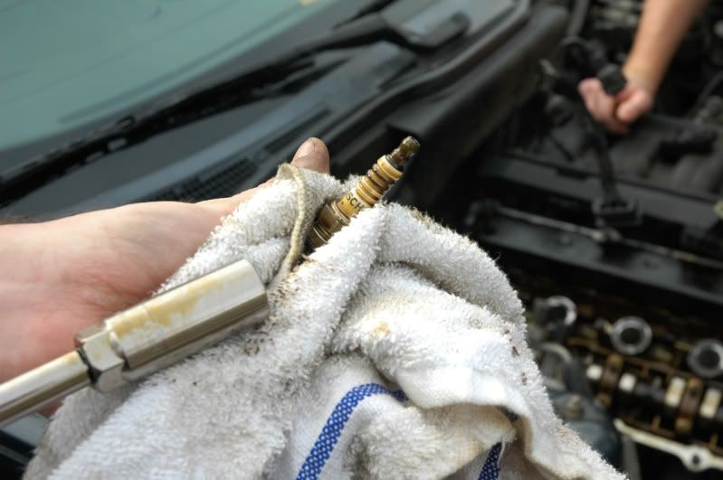 [Image: engine5.jpg]