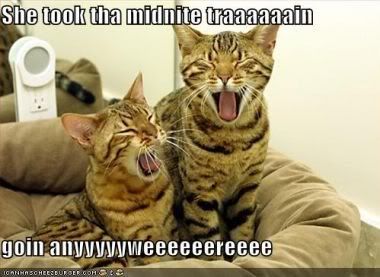 [Image: JourneyCats.jpg]