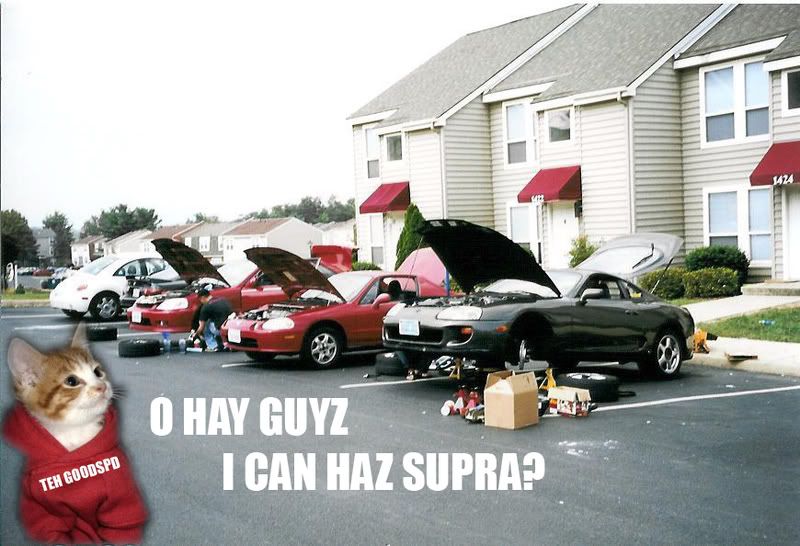 [Image: LOLDave.jpg]