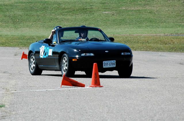 [Image: brrverona_17.jpg]