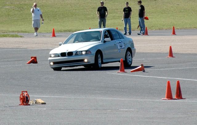 [Image: brrverona_43.jpg]