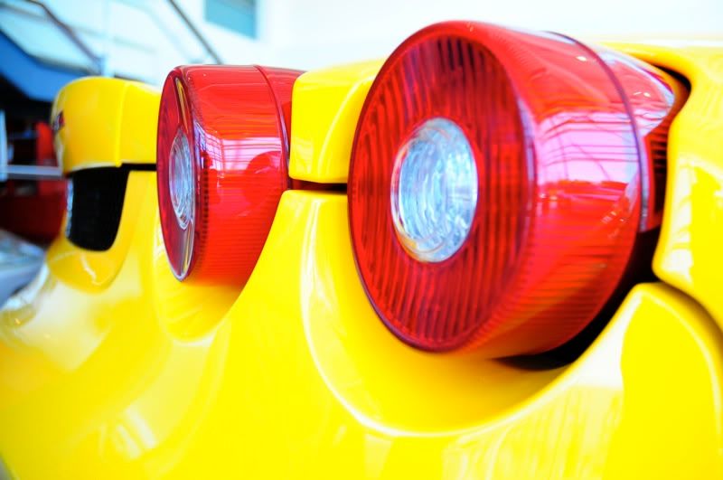 [Image: DSC_0549.jpg]