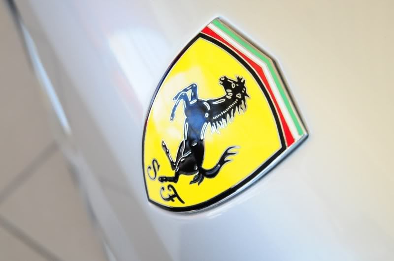 [Image: DSC_0552.jpg]