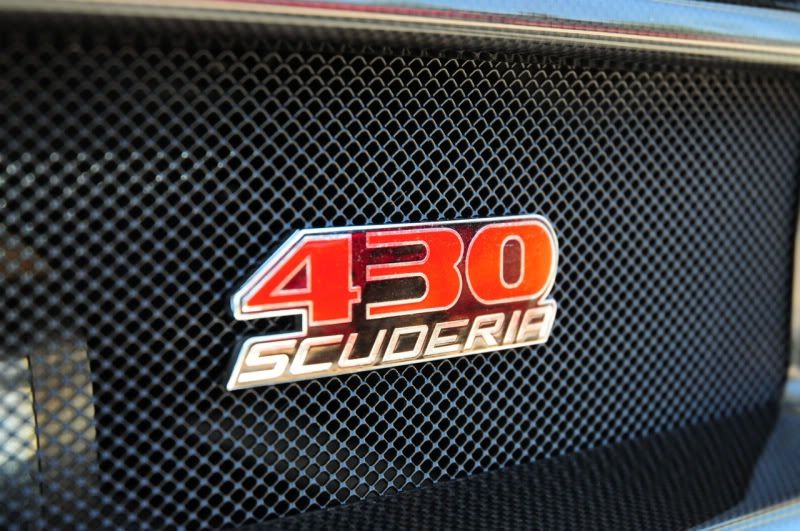 [Image: DSC_0555.jpg]