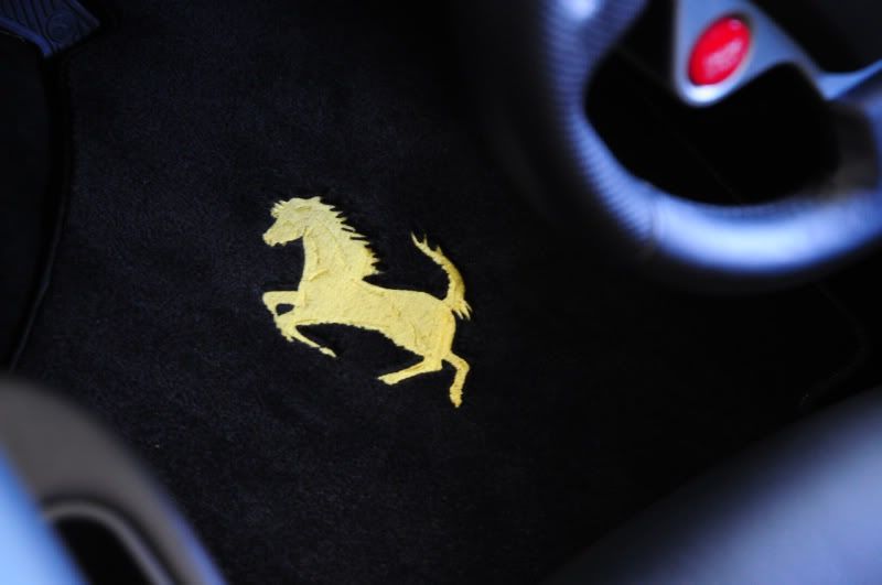 [Image: DSC_0560.jpg]