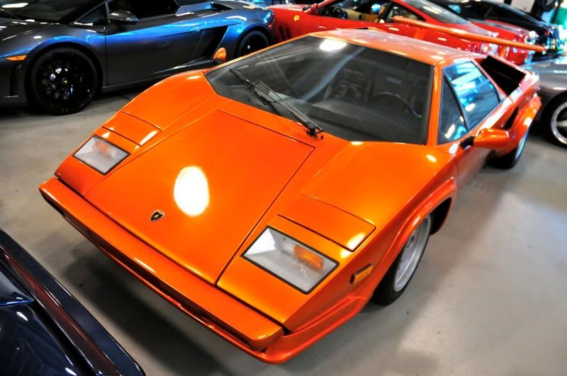 [Image: DSC_0565.jpg]