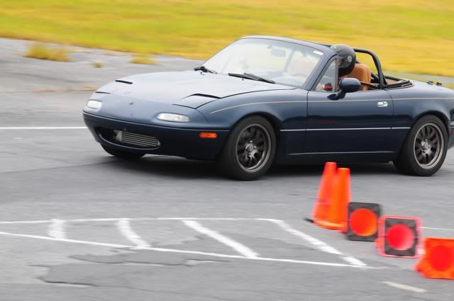 [Image: pca_verona_11.jpg]